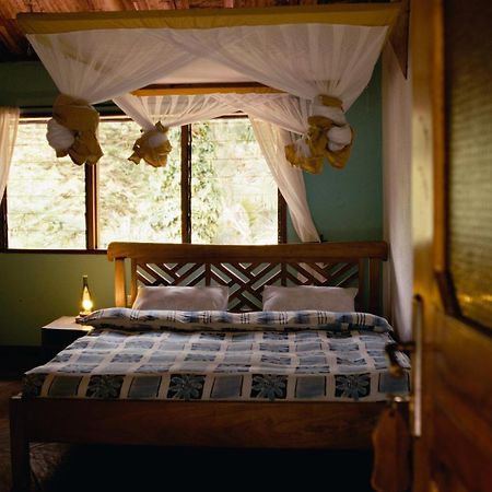 Sanna Eco Lodge Arusha Room photo